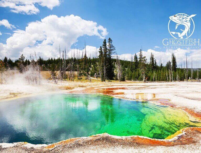 gluten free beer in montana