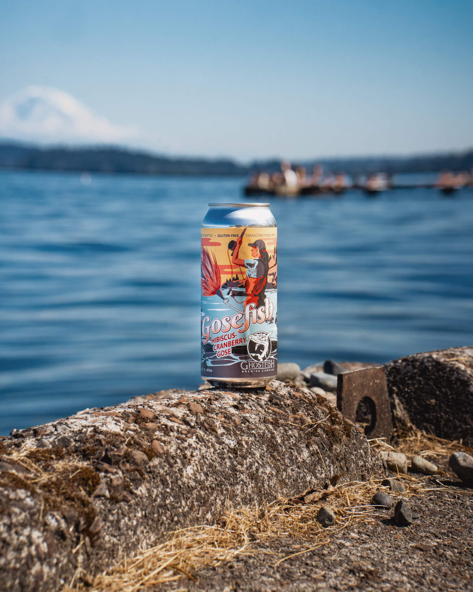 Gosefish Hibiscus-Cranberry 16oz Cans - Image 2