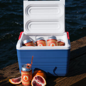 Ghostfizz Hop Seltzer 6 Pack (2) - Image 3