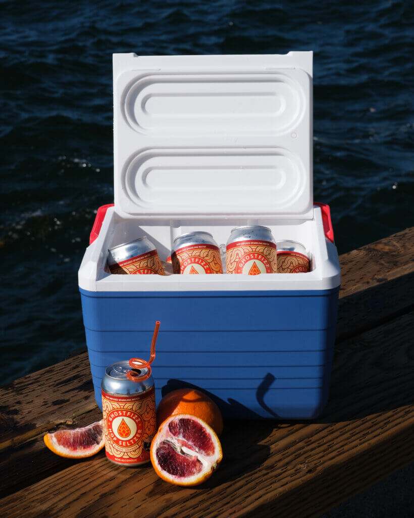 Ghostfizz Hop Seltzer 6 Pack (2)
